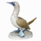 Herend Reserve Collection Blue-Footed Booby