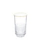 Saint-Louis Cadence Gold Rim Highball Diving View