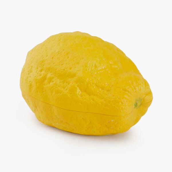 Augarten x Giambattista Valli Lemon Box | Kneen & Co