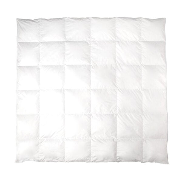 Ogallala Laurel Comforter Grand King, Hypodown