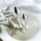 Robbe & Berking Silver Flatware lifestyle photo featuring the Alt-Spaten pattern.