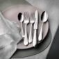 Robbe & Berking Eclipse 5 piece place setting