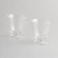 R+D.Lab Rosetta Acqua Clear Set of 2