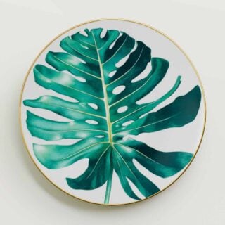 Hermes Passifolia Dinner Plate Philodendron | Kneen & Co