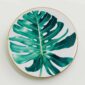 Hermes Passifolia Dinner Plate Philodendron | Kneen & Co