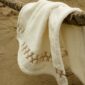 Mirabel Slabbinck Topali Bath Linens