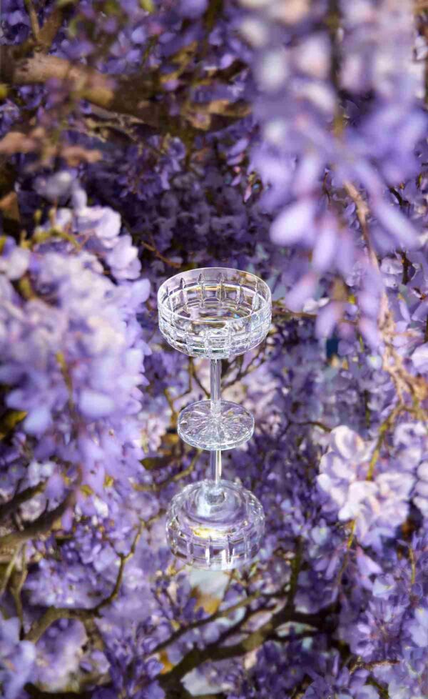 Saint-Louis Manhattan coupe glass