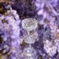 Saint-Louis Manhattan coupe glass