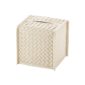 Riviere Elba Handwoven Leather Tissue Holder | Kneen & Co