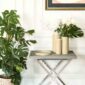 Riviere Collection | Kneen & Co
