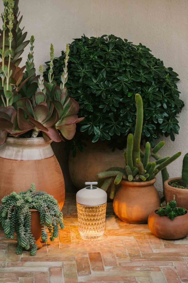 SAINT-LOUIS-FOLIA-REPUSH-2025-MVerret-0278-1200w-100KB Saint-Louis Folia Portable Lamp White Wood and Crystal set in garden amongst cactus | Kneen & Co