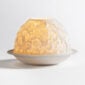 Bernardaud Wild Flowers | Kneen & Co