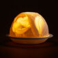Bernardaud Magnolia Votive Light | Kneen & Co
