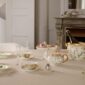Royal Copenhagen Flora Danica Collection mood image | Kneen & Co