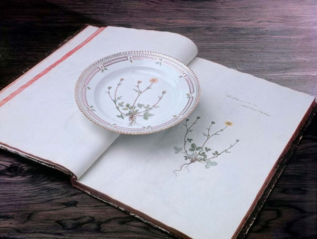 Royal Copenhagen Flora Danica Collection mood image | Kneen & Co