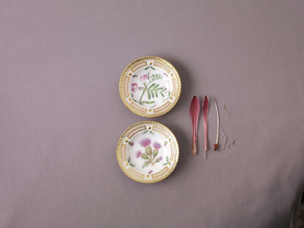 Royal Copenhagen Flora Danica Collection mood image | Kneen & Co