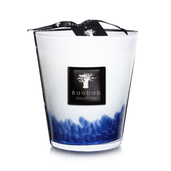 BAOBAB-MAX16FT-Feathers Touareg-MAX16-1200x1200-100KB Baobab Feathers Touareg Scented Candle Max 16 | Kneen & Co