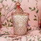 Decorative home setting with Baobab Women Candle Max 24 in delicately printed glass with 24-carat yellow gold | Kneen & Co