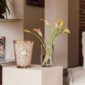 Modern interior setting with lit Baobab Women Candle Max 24 in delicately printed glass with 24-carat yellow gold | Kneen & Co