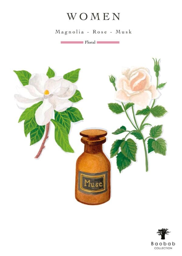BAOBAB-WOMEN-Olfactive-Notes-Drawing-1200w-100KB Baobab The Women Candle scent illustration | Kneen & Co