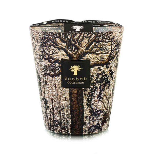 Baobab-Sacred-Trees-Morondo-Max-16-6pt3-H-1200x1200-100KB Baobab Sacred Trees Morondo Candle Max 16 | Kneen & Co