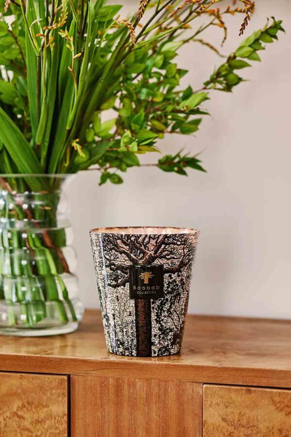 Baobab-Sacred-Trees-Morondo-Max-16-6pt3-H-Mood-1200w-100KB Warm interior setting with Baobab Collection Sacred Trees Morondo candle in sublimated glass with intricate brown tree pattern | Kneen & Co