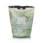 Baobab Leaves Marius Candle Max 16 | Kneen & Co