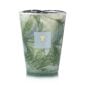 Baobab Leaves Marius Candle Max 24 | Kneen & Co