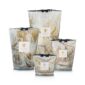 Baobab Leaves Naïs Candles | Kneen & Co