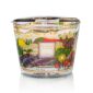 Baobab Provence Candle Max 10 | Kneen & Co