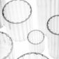 Top-down detail shot of Fferrone Dearborn glassware in fluted borosilicate glass, showcasing various rim diameters and the "fferrone" brand logo | Kneen & Co
