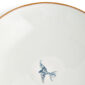 Close-up studio shot with Wedgwood Kit Kemp Mythical Creatures Coupe Bowl in fine bone china featuring whimsical animal illustrations and gold rim detailing | Kneen & Co