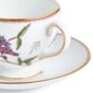 Close-up studio shot with Wedgwood Kit Kemp Mythical Creatures Tea Cup and Saucer in fine bone china featuring whimsical animal illustrations and gold rim detailing | Kneen & Co