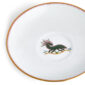 Close-up studio shot with Wedgwood Kit Kemp Mythical Creatures Tea Saucer in fine bone china featuring whimsical animal illustrations and gold rim detailing | Kneen & Co