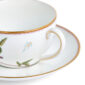 Close-up studio shot with Wedgwood Kit Kemp Mythical Creatures Breakfast Cup and Saucer in fine bone china featuring whimsical animal illustrations and gold rim detailing | Kneen & Co