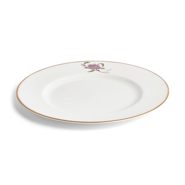 Close-up studio shot with Wedgwood Kit Kemp Mythical Creatures Dinner Plate in fine bone china featuring whimsical animal illustrations and gold rim detailing | Kneen & Co