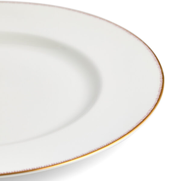 Close-up studio shot with Wedgwood Kit Kemp Mythical Creatures Dinner Plate in fine bone china featuring whimsical animal illustrations and gold rim detailing | Kneen & Co