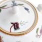 Close-up studio shot with Wedgwood Kit Kemp Mythical Creatures Sugar Pot with Cover in fine bone china featuring whimsical animal illustrations and gold rim detailing | Kneen & Co
