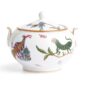 Wedgwood Kit Kemp Mythical Creatures Sugar Pot with Cover | Kneen & Co