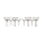 Minimalist studio arrangement of Fferrone Margot Champagne Coupes in fluted borosilicate glass displayed in staggered front and back rows | Kneen & Co