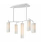 Stefanie Hering Tropo 5-Light Chandelier | Kneen & Co