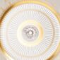 Close-up shot of Wedgwood Anthemion Grey Side Plate defined by a sophisticated grey rim and an intricate neoclassical palmette border finished with 22-carat gold detailing | Kneen & Co