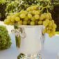 Sunlit outdoor garden setting featuring a Christofle Malmaison Champagne Bucket in silver plate with signature Empire-style leaf borders and ornate handles | Kneen & Co