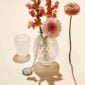 Lalique Plumes Small Vase Clear set on table wih flowers | Kneen & Co