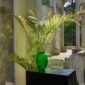 Lalique Plumes Vase Green Meadow set on garden table | Kneen & Co