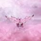 LALIQUE-10801700-CE-Bowl-pink-luster-Lifestyle-image-1200w-100KB