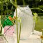 Lalique Plumes Grand Vase Clear set on garden table | Kneen & Co
