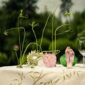 Lalique Tourbillons Small Vase Pink Luster set on garden table | Kneen & Co