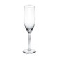 Lalique 100 POINTS Champagne Glass | Kneen & Co
