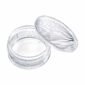 Saint-Louis Crystal Cadence Box | Kneen & Co